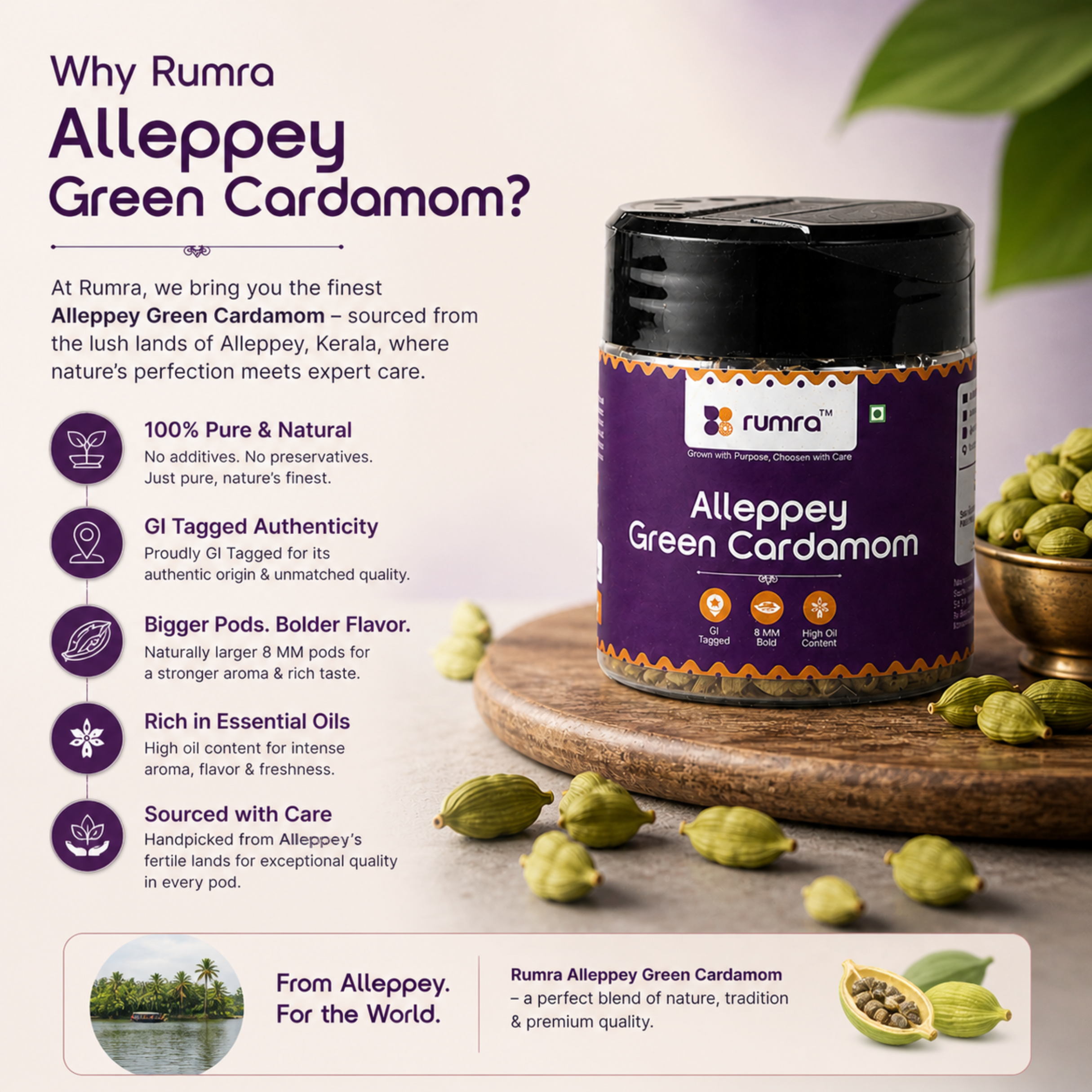 Alleppey Green Cardamom Spices